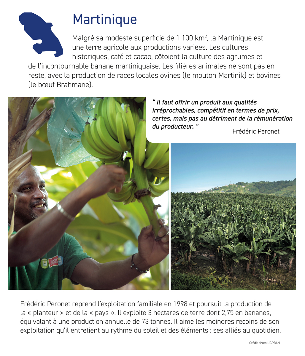 Portraits d'agricultrices et d'agriculteurs - Martinique