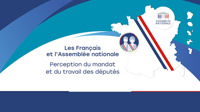 Les Français et l'Assemblée nationale - visuel avec texte