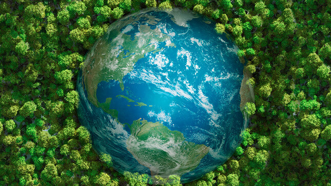 Planete - foret - bois - ecologie - environnement